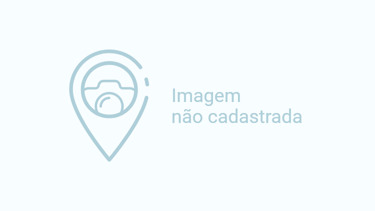 Roteiro tradicional na Vinícola Miolo